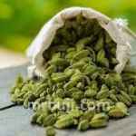 National Informatics Centre and the Spices Board of India