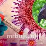 Institute of Advanced Virology