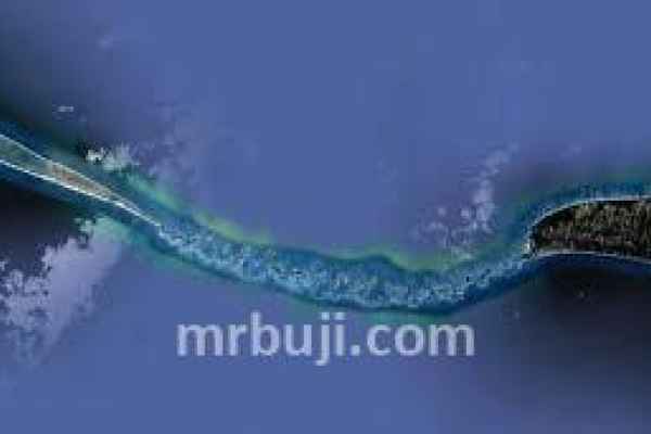 Gulf of Mannar and Palk Strait