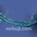 Gulf of Mannar and Palk Strait