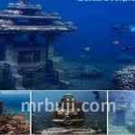 Ashoka, Chandragupt, and Kalpataru