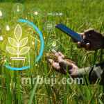 Unique digital geospatial platform for Indian agriculture